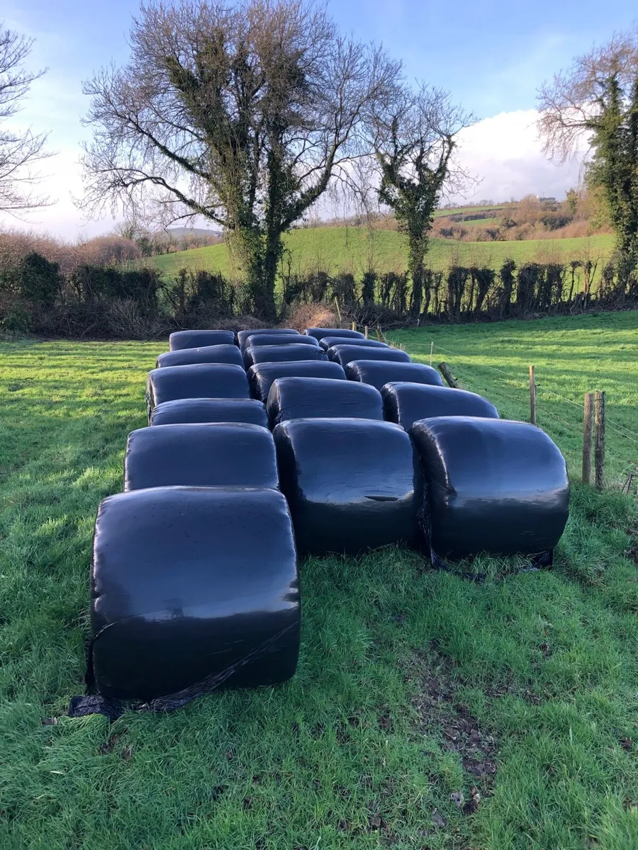 18 Silage Bales (Double Wrapped) - Image 1