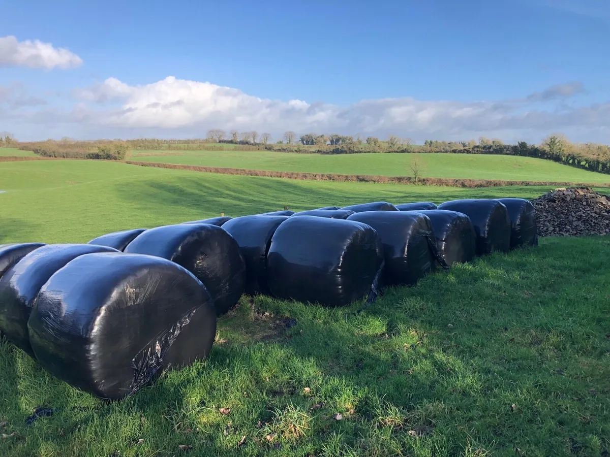 18 Silage Bales (Double Wrapped) - Image 2