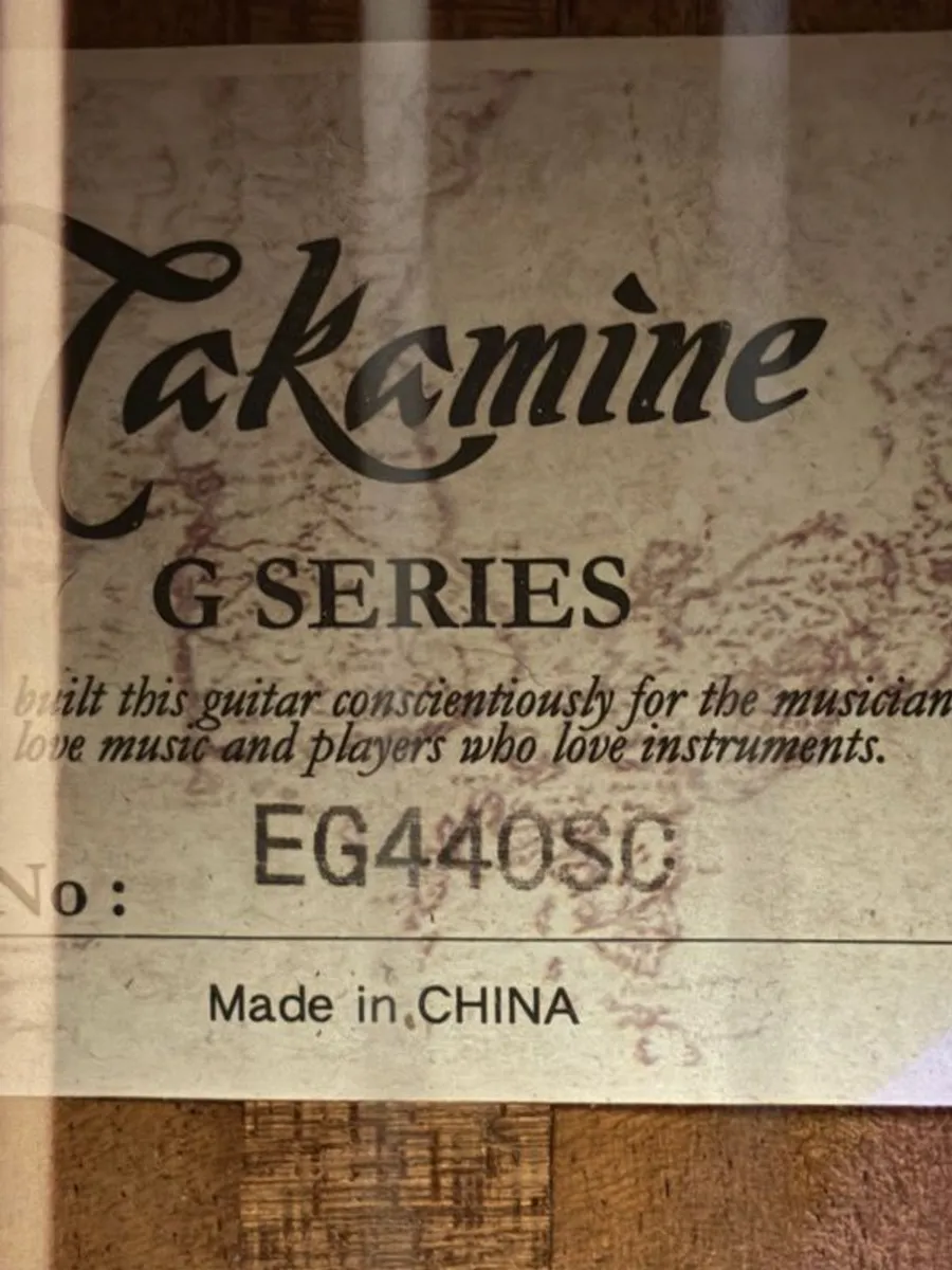 Takemine GSeries - Image 3