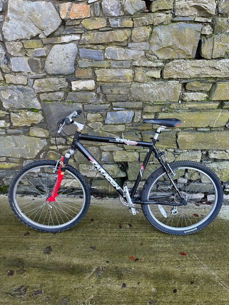 Mountain Bike - Image 1