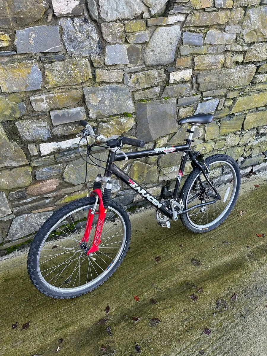 Mountain Bike - Image 4