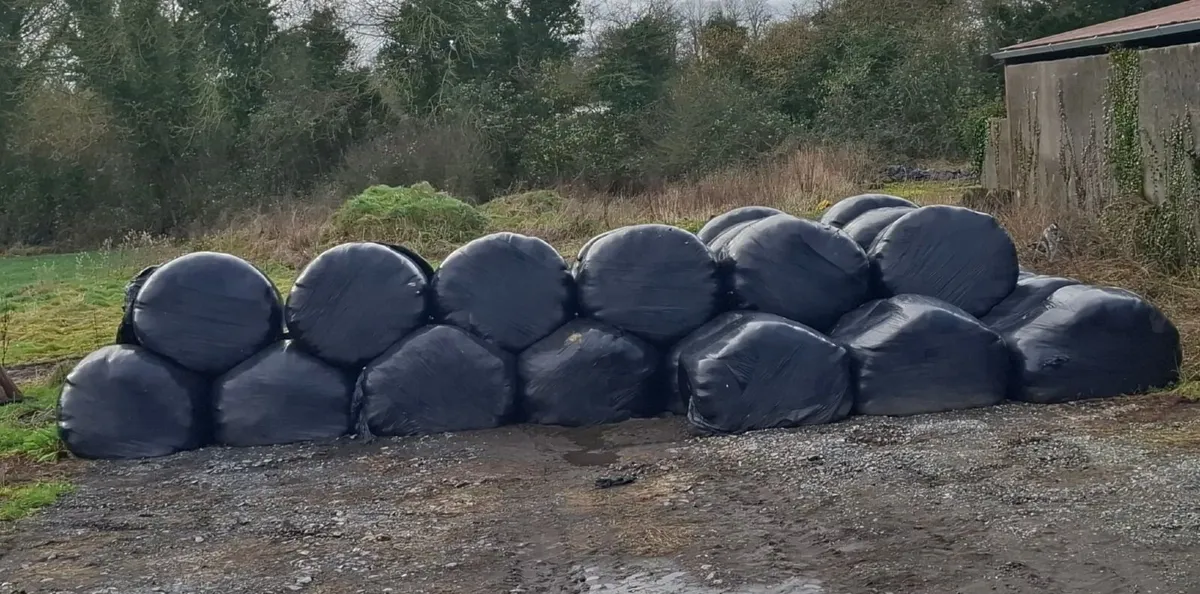 Silage bales