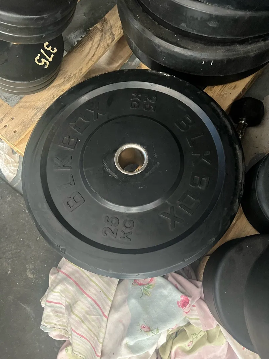 BUMPER PLATES €2 per kg last few remaining - Image 4