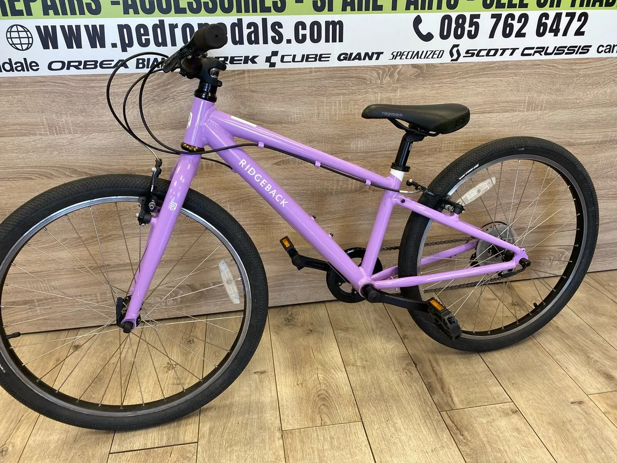 Ridgeback dimension 24 (like new) - Image 4