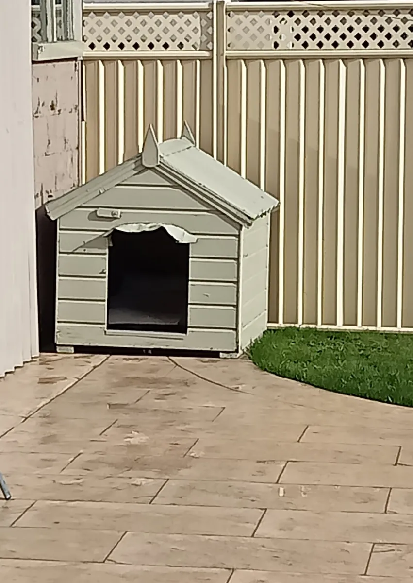 Dog house/kennel - Image 1