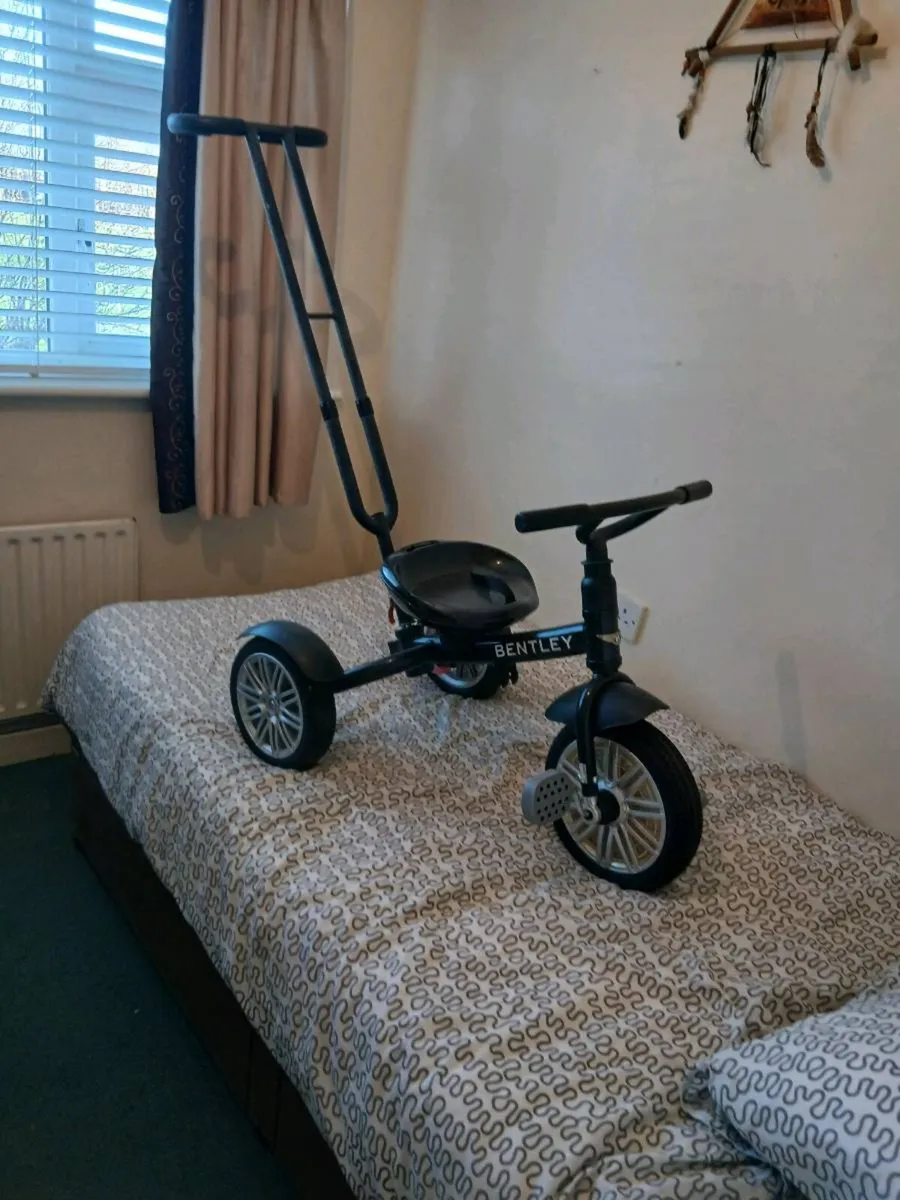 Bentley kids trickle - Image 1