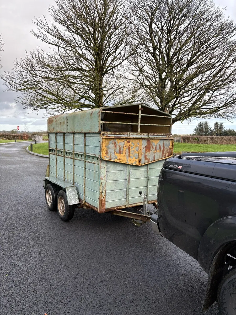 Cattle trailer - Image 4