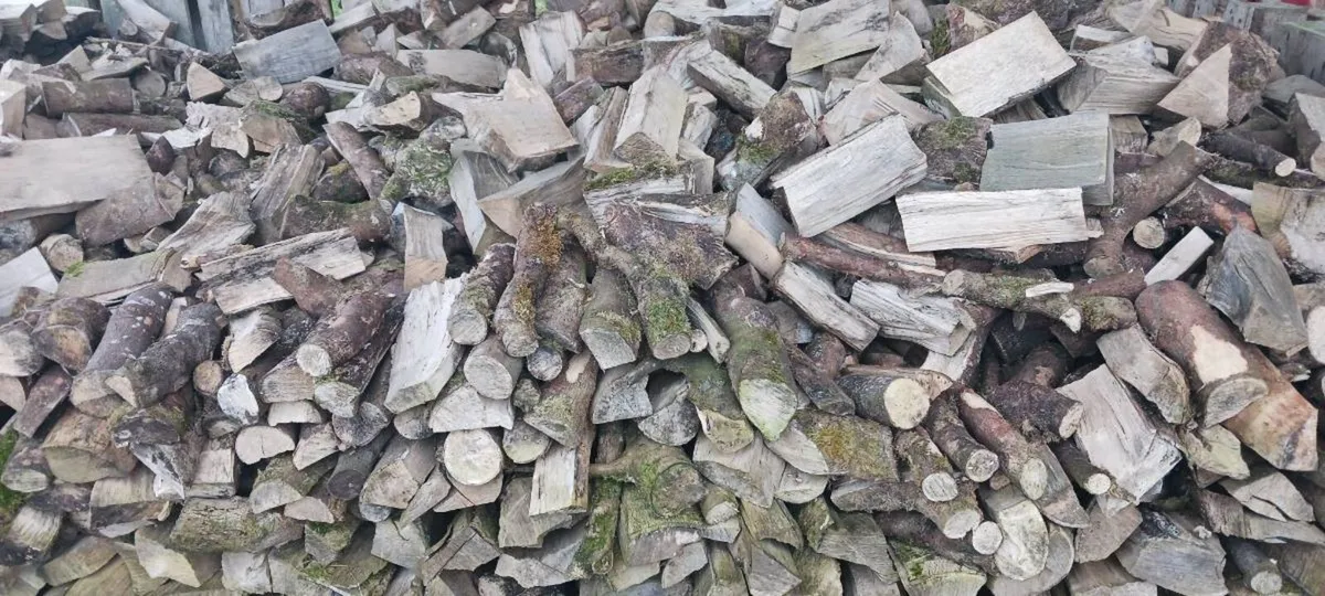 Firewood hardwood  bags - Image 1