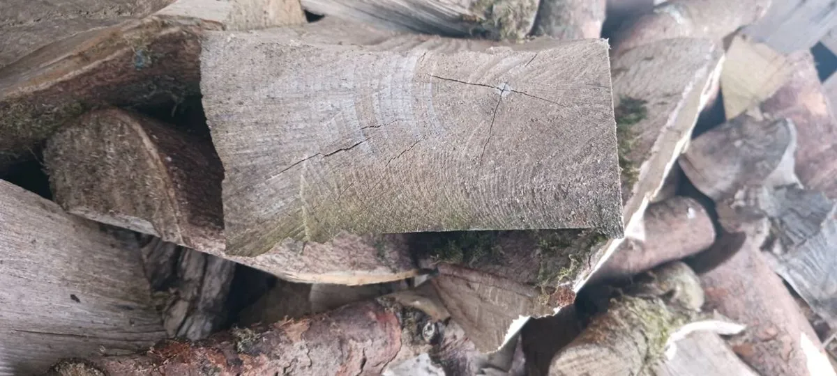 Firewood hardwood  bags - Image 2