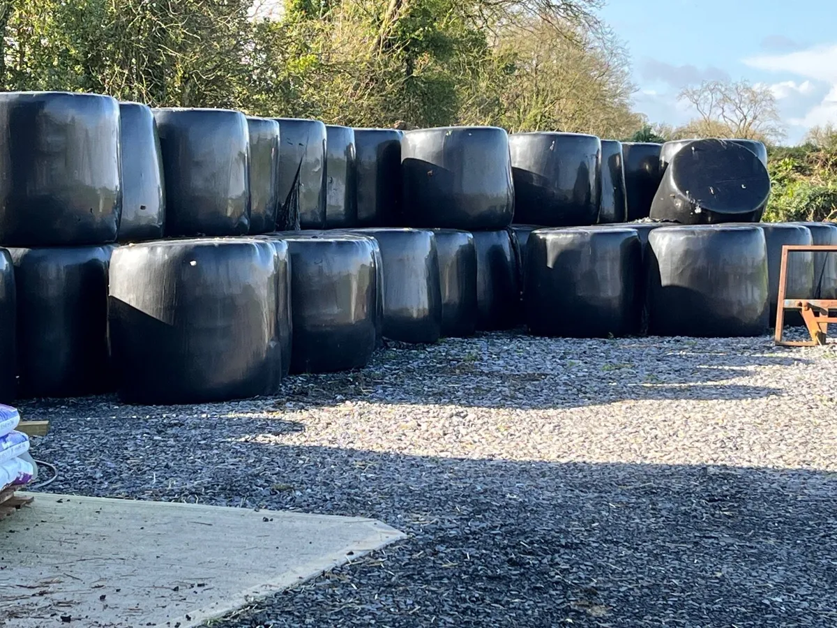 Top quality silage for sale - Image 2