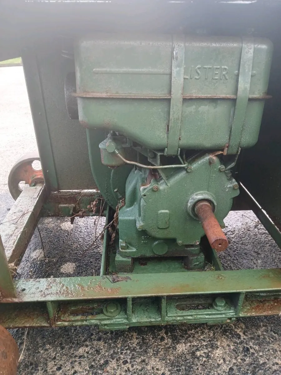 Yard clear out - Image 2