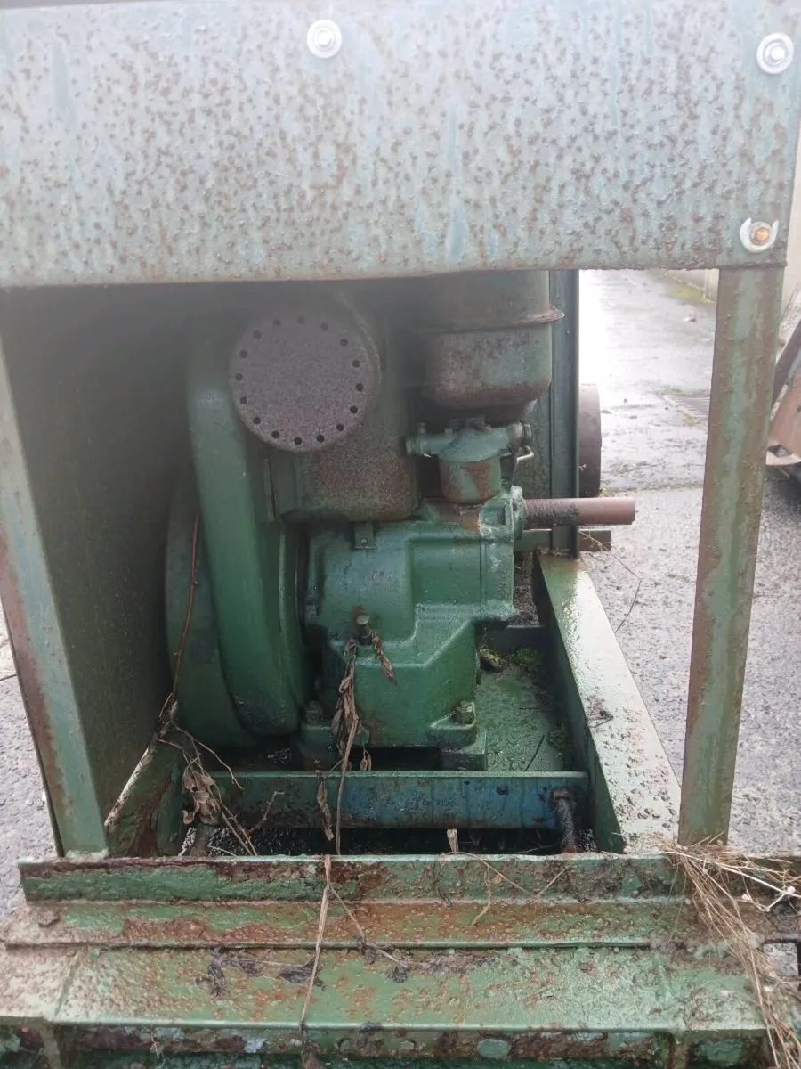 Yard clear out - Image 3