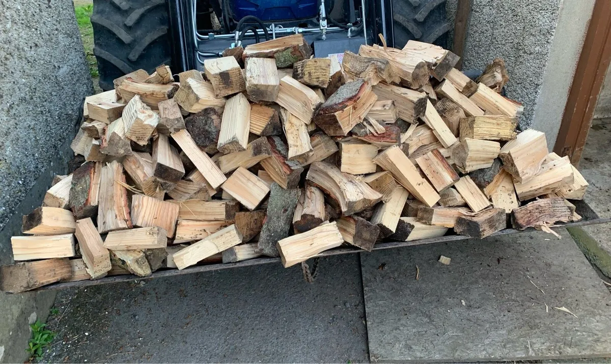 Firewood - Image 2
