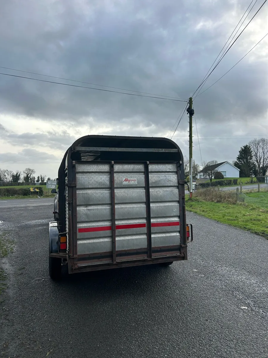 13ft Hamilton cattle trailer BARGAIN NEW FLOOR - Image 4