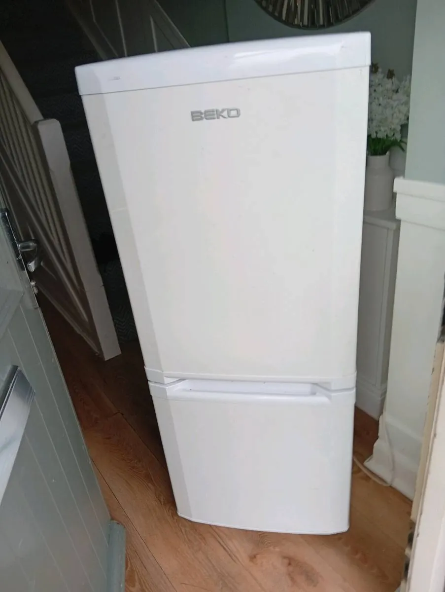 Fridge freezer - Image 1
