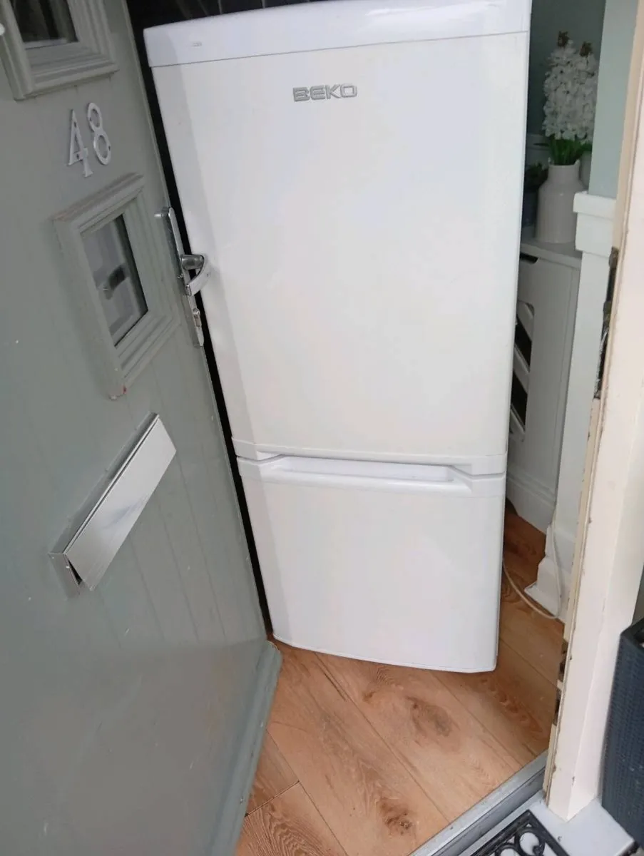 Fridge freezer - Image 3