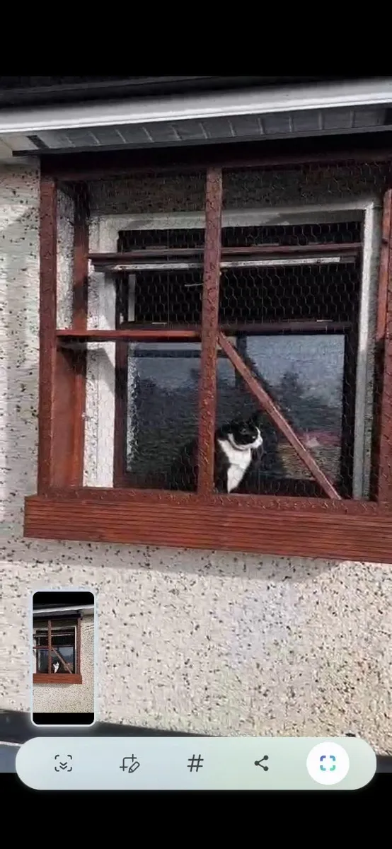 Bespoke Catios for your feline friend for sale - Image 3