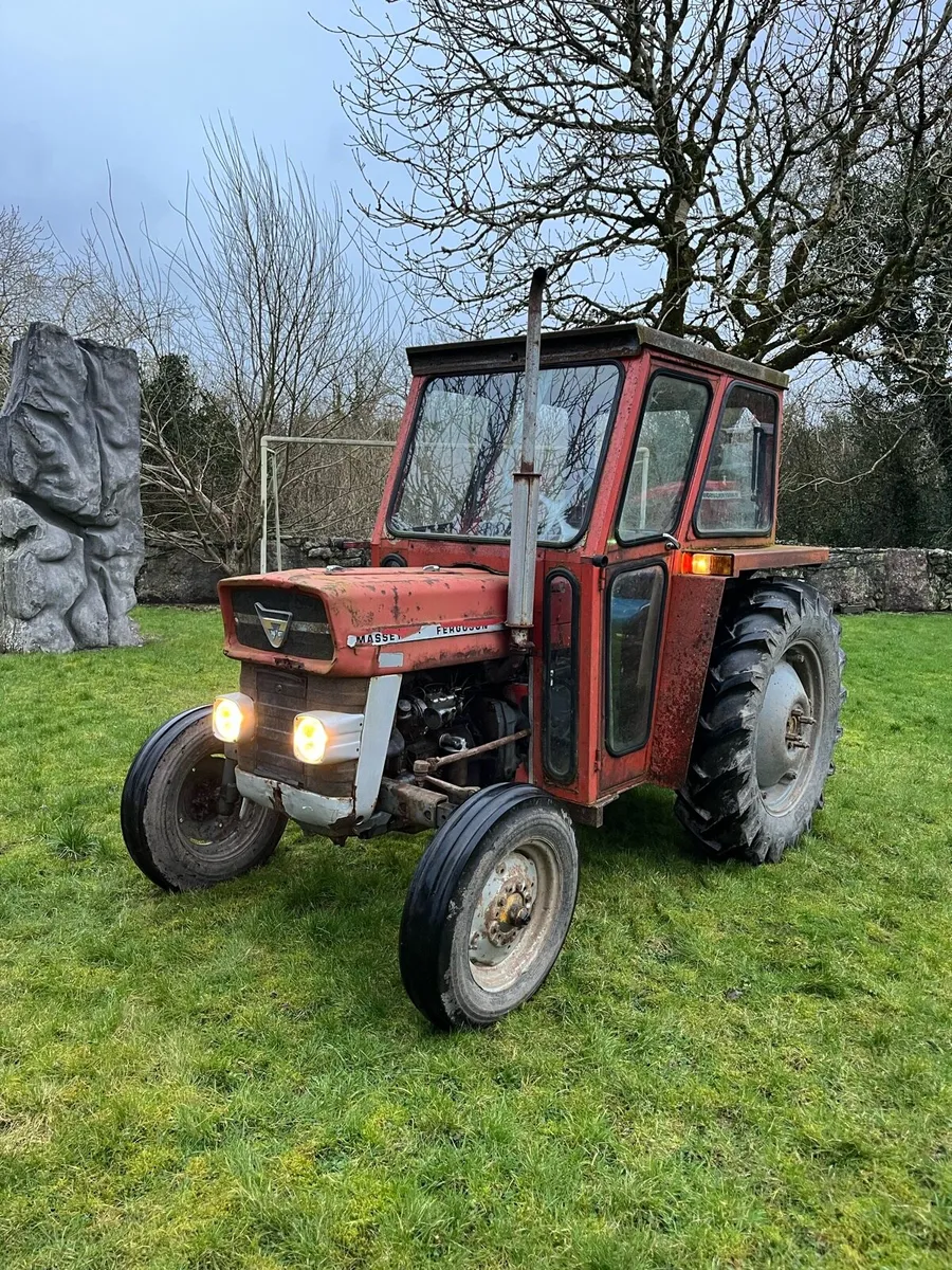 *Massey Ferguson 135* - Image 2