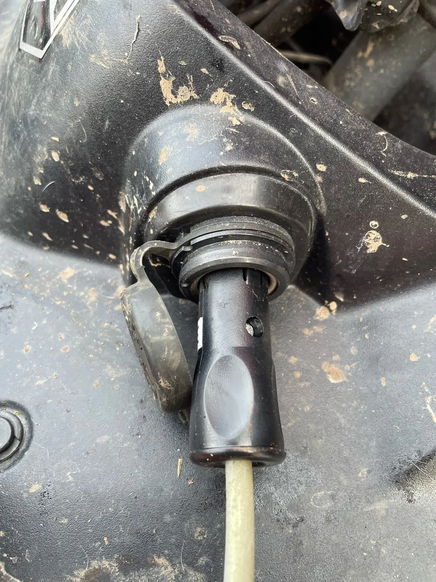 Rush licker - Image 3