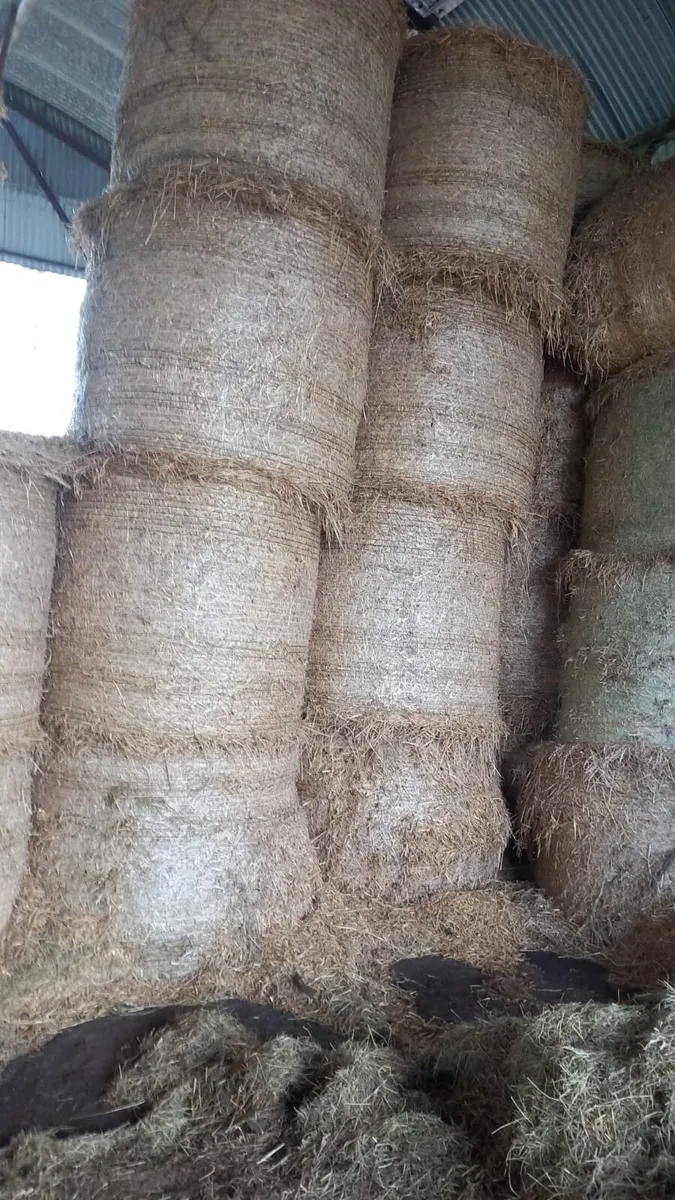 Straw for Sale - Image 1