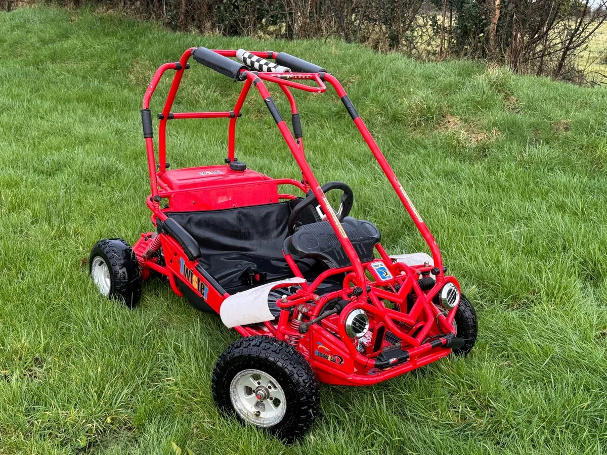 Kids buggy - Image 3