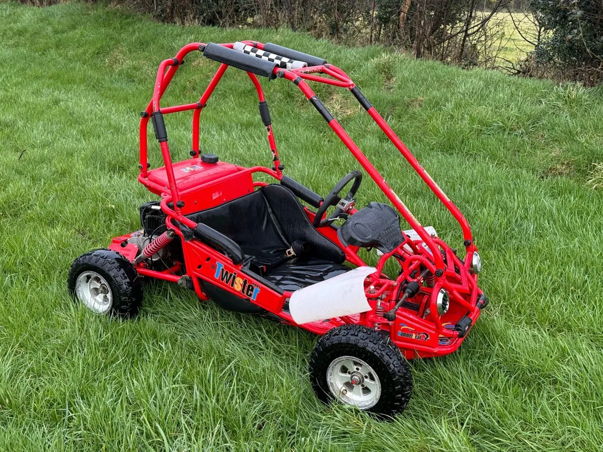 Kids buggy - Image 1