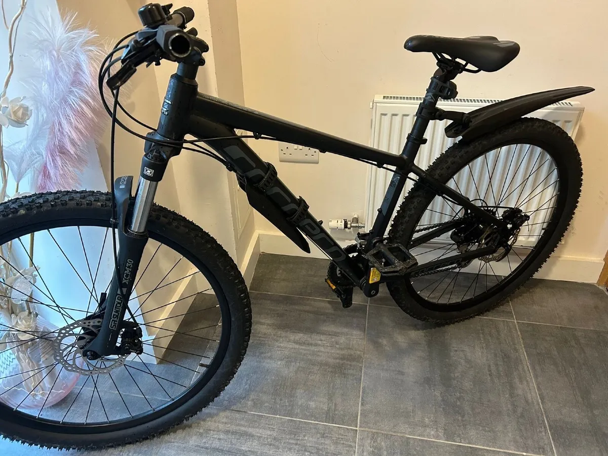 Carrera Vengeance - Image 1