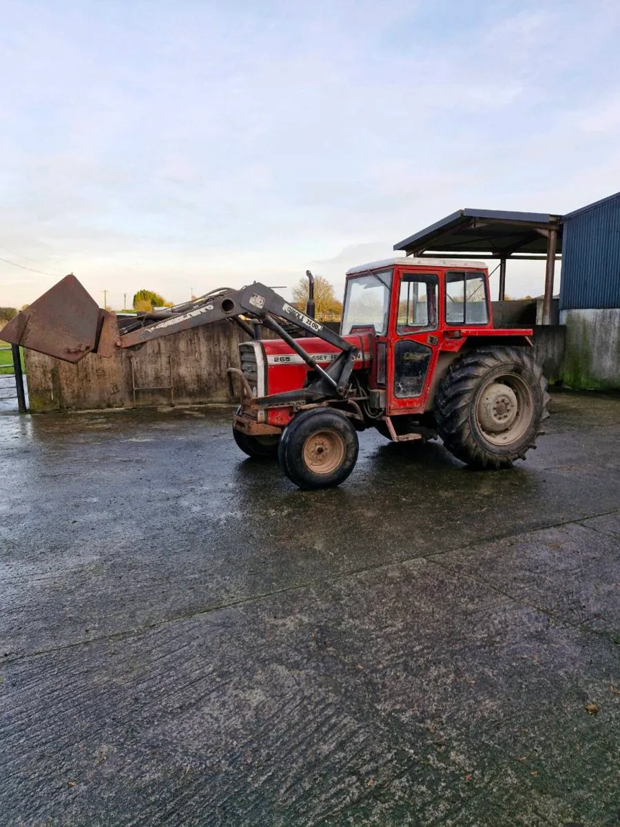 Massey ferguson 265 - Image 1