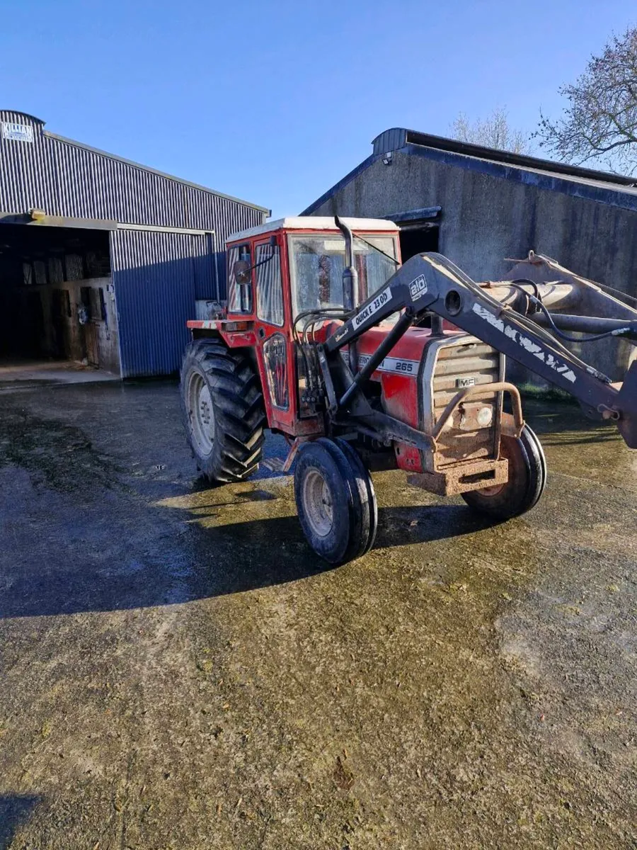 Massey ferguson 265 - Image 2
