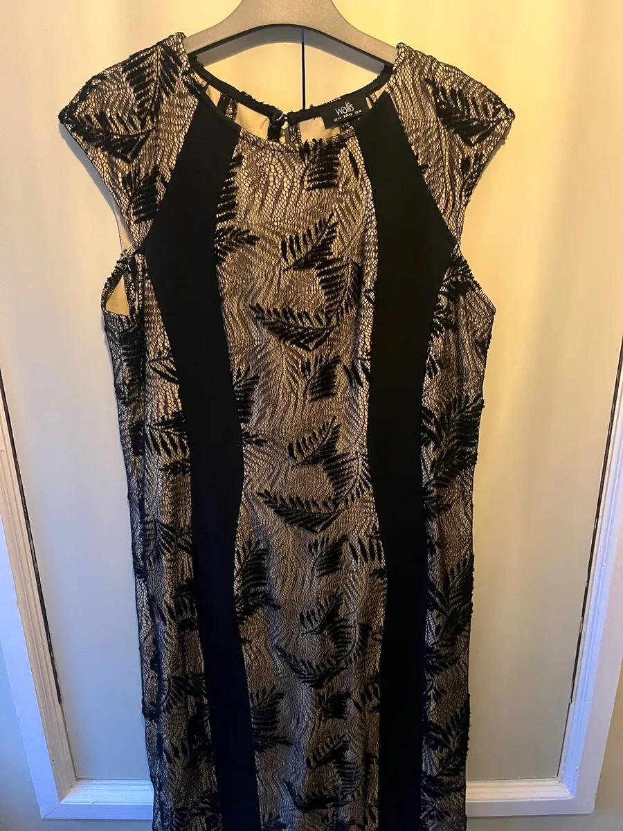 Wallis lace dress - Image 1