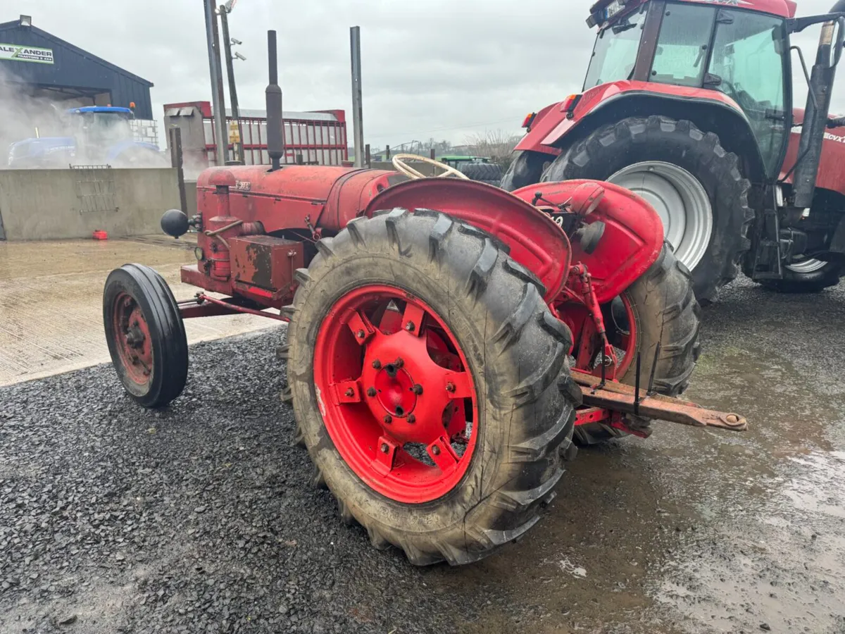 1953 David Brown 30D - Image 4