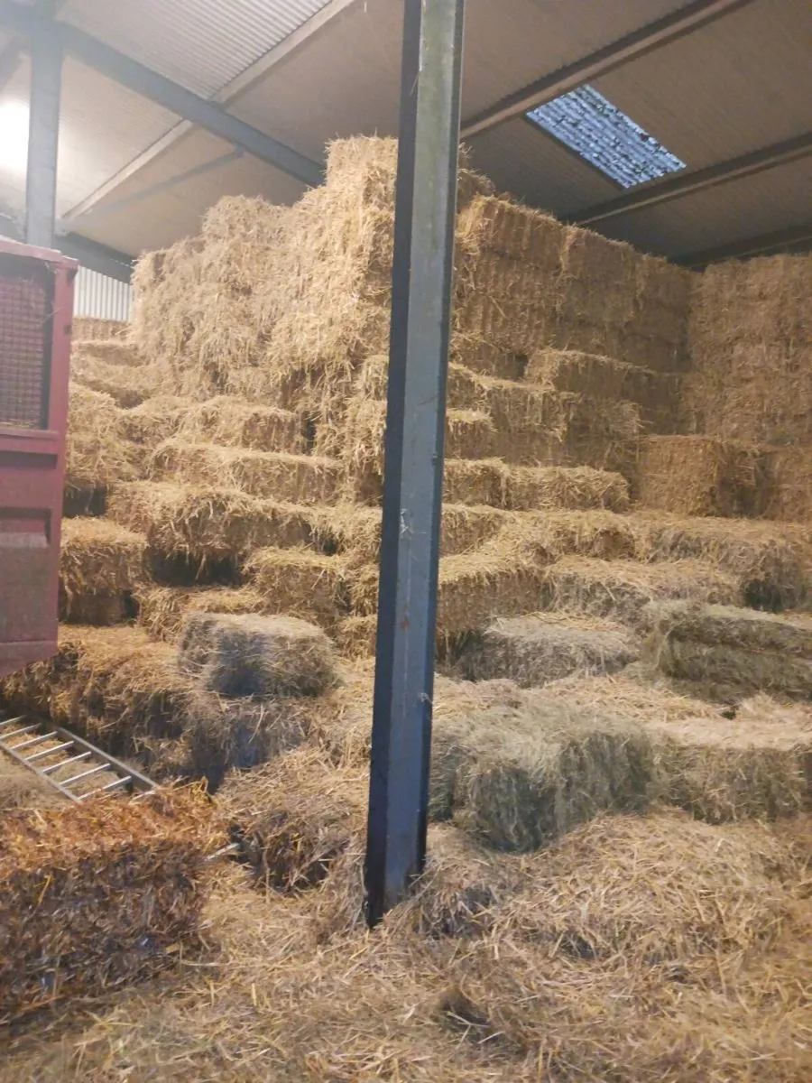 Oaten Straw €4 per bale - Image 3