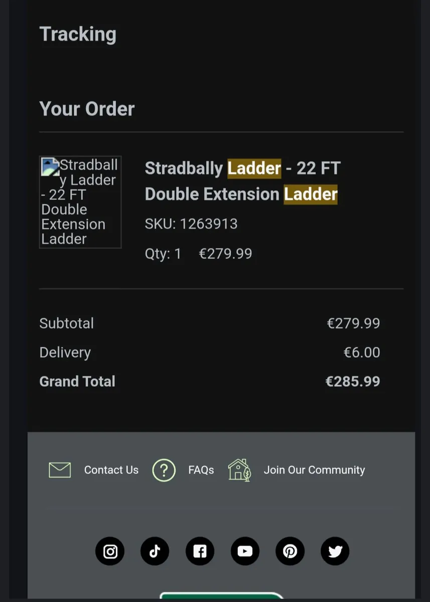 Ladder 22ft - Image 2