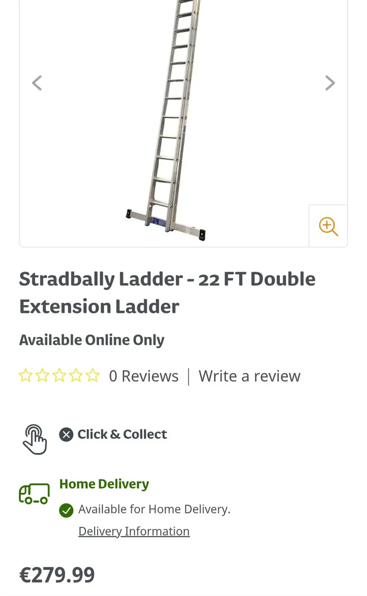 Ladder 22ft - Image 1