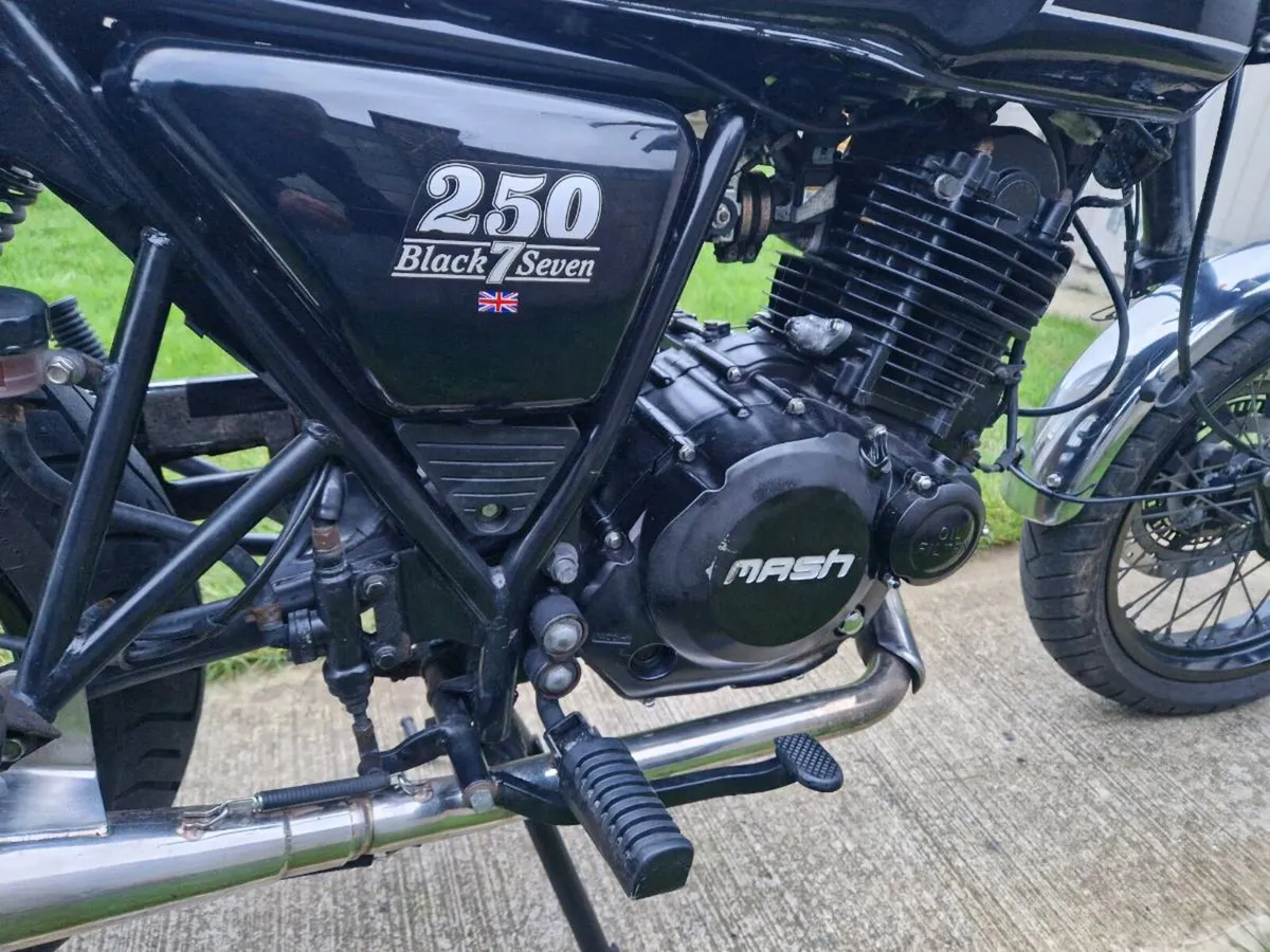 MASH Other 2021 - Image 4