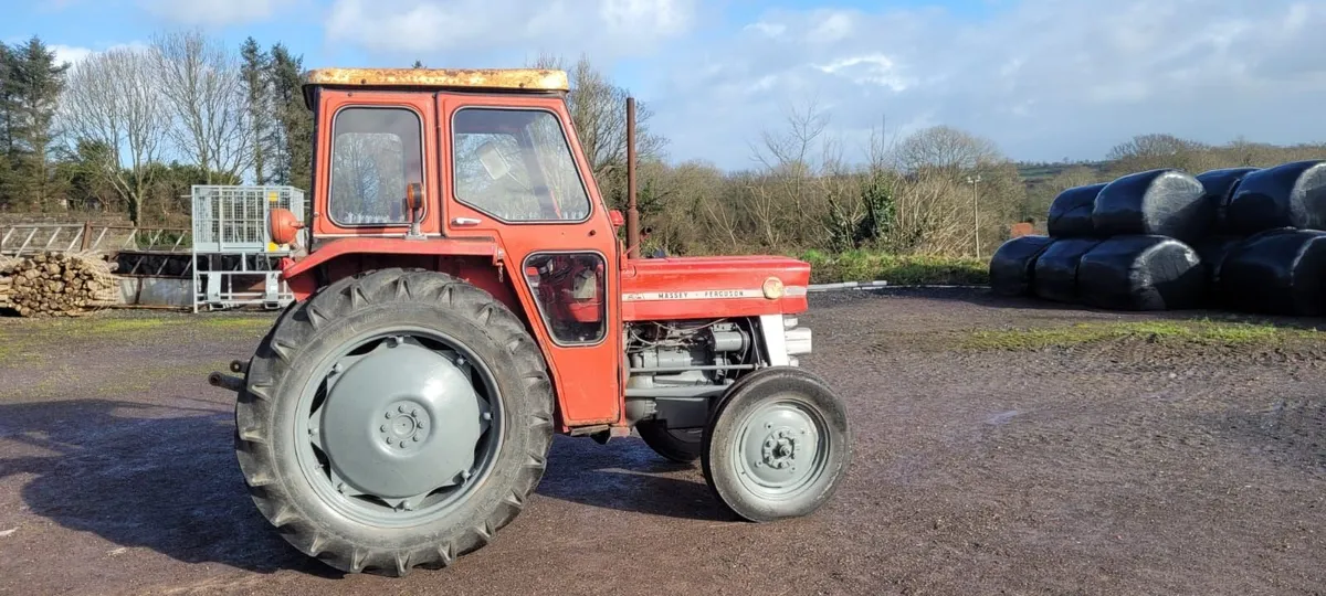 Massey Ferguson 135 Multipower - Image 2