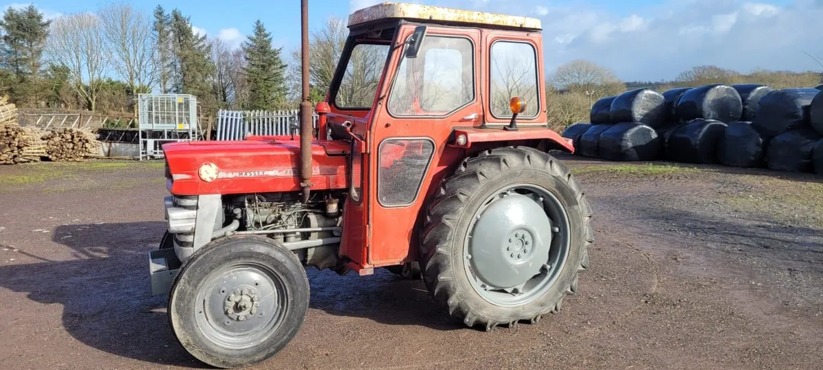 Massey Ferguson 135 Multipower - Image 1
