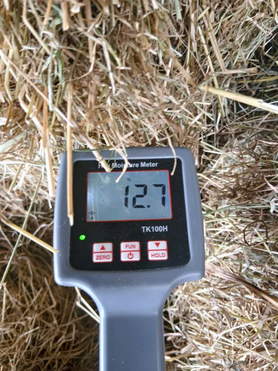 Square bales of hay - Image 2