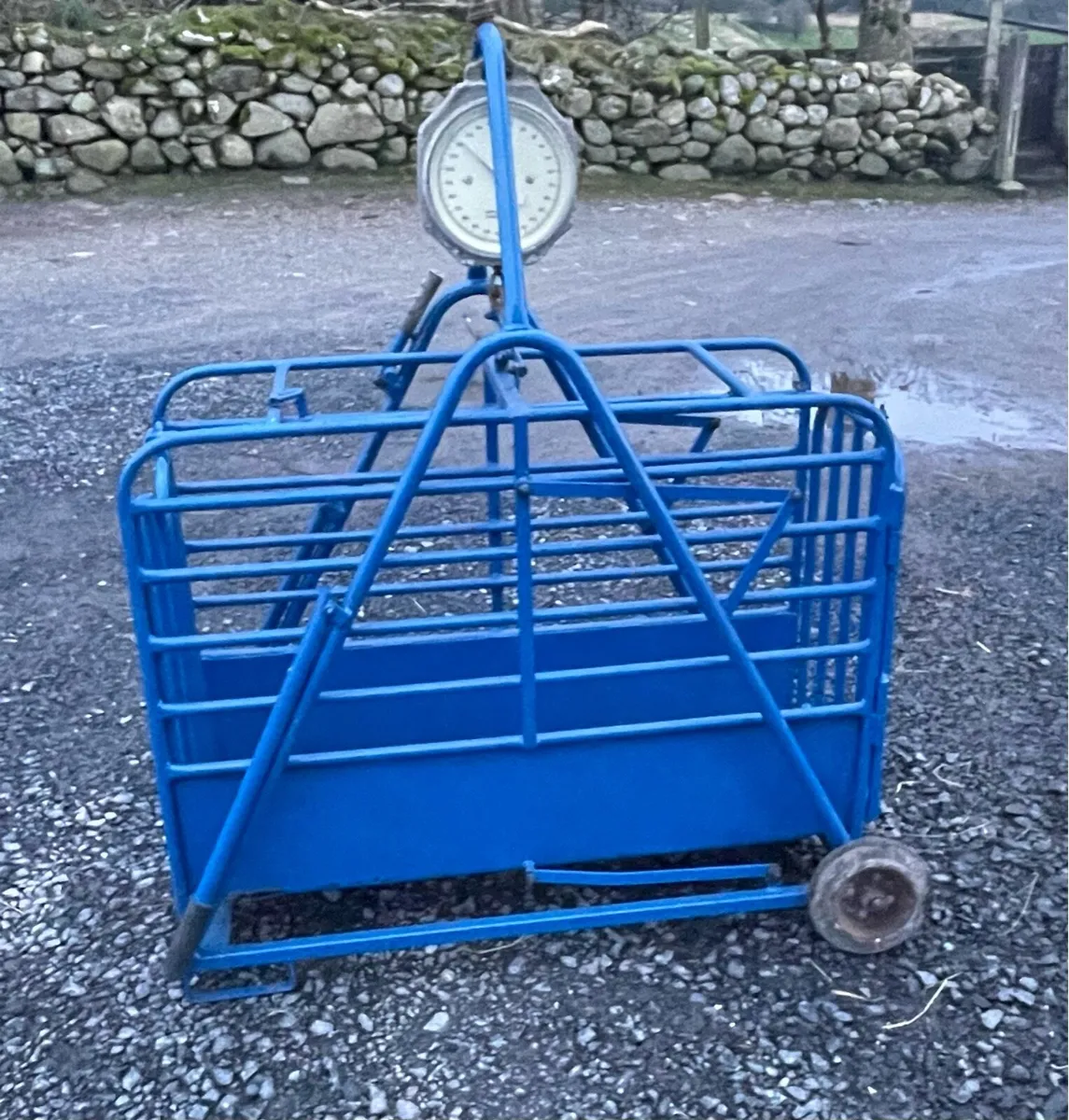 Sheep weighing scale - Image 1