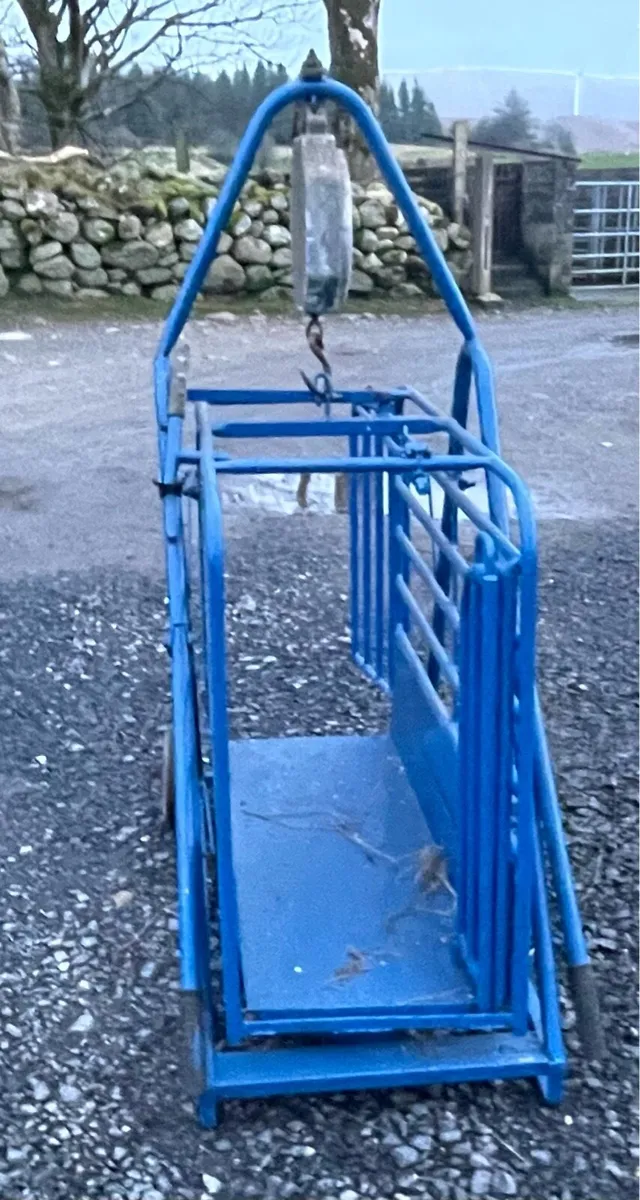 Sheep weighing scale - Image 2