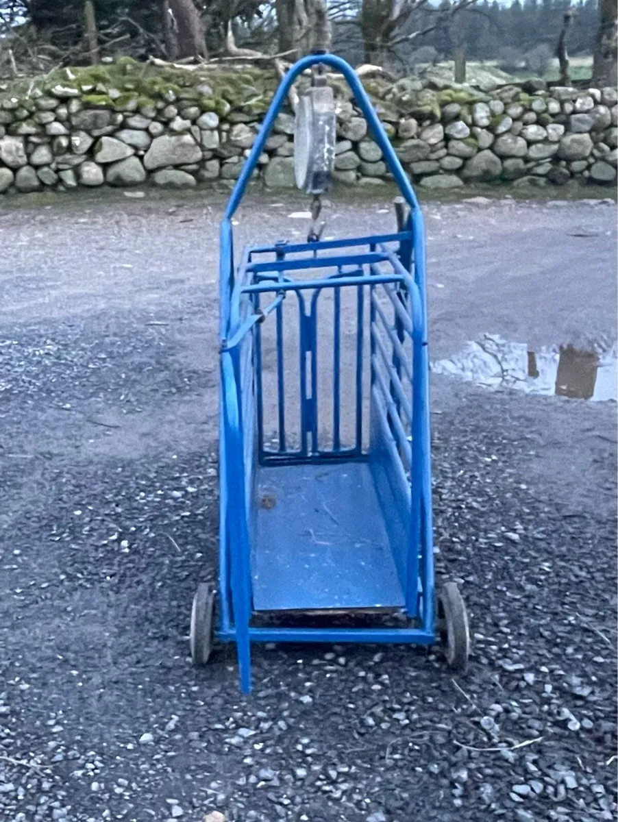 Sheep weighing scale - Image 3