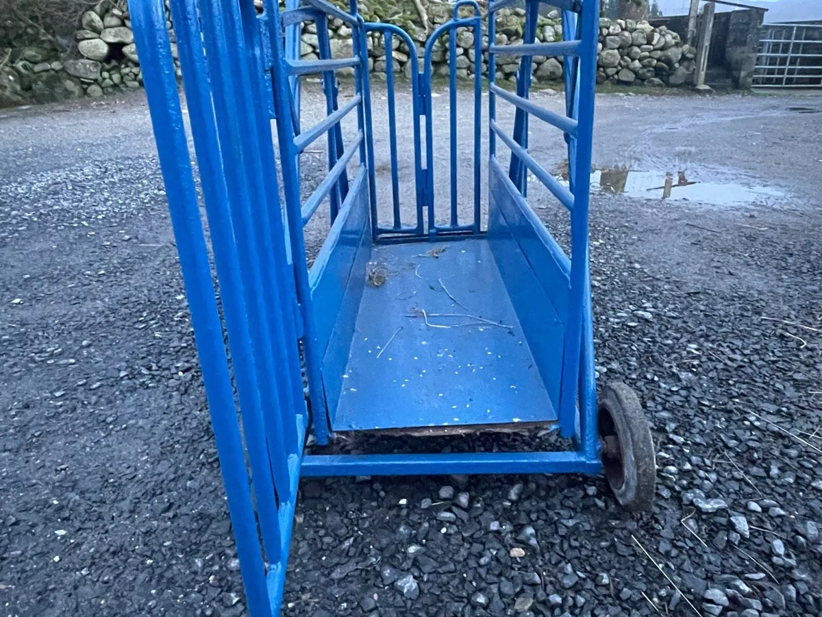 Sheep weighing scale - Image 4