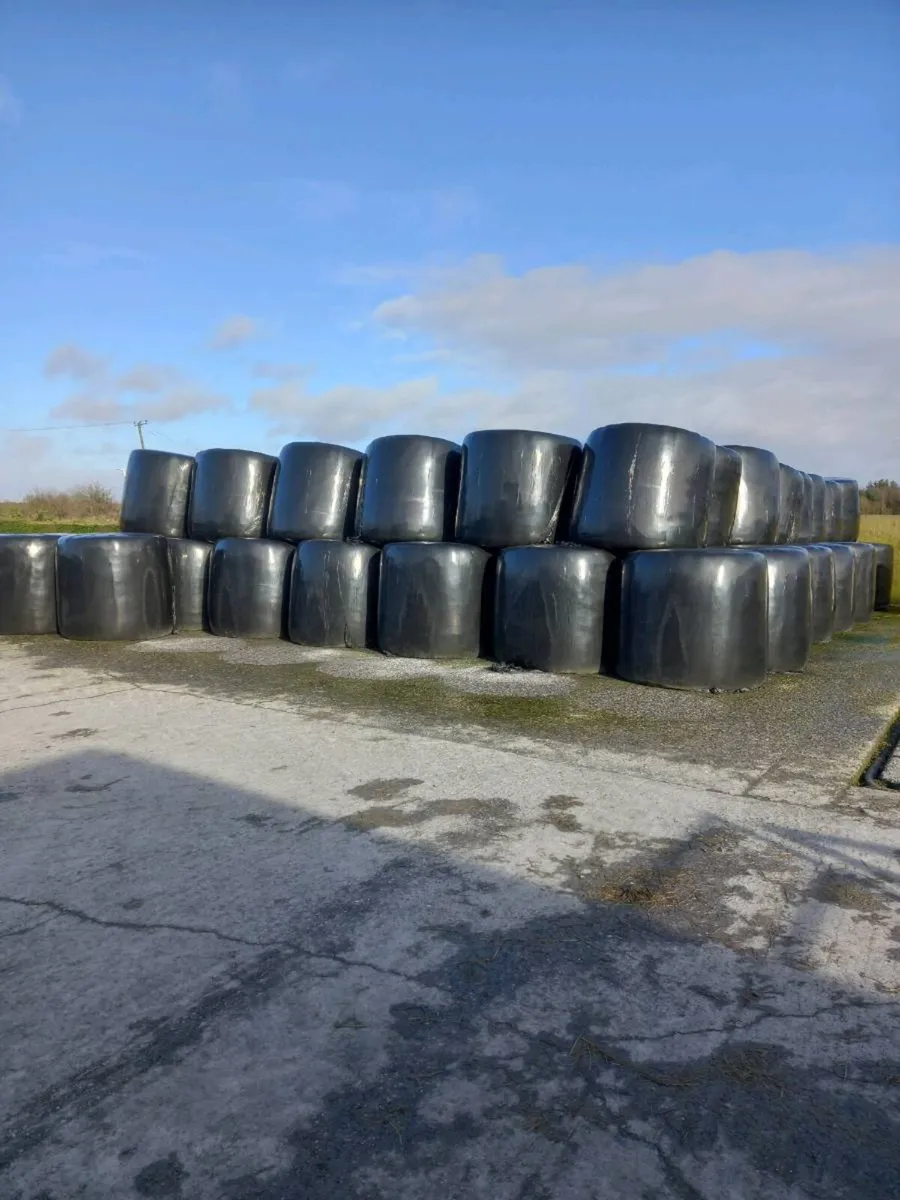 Baled silage