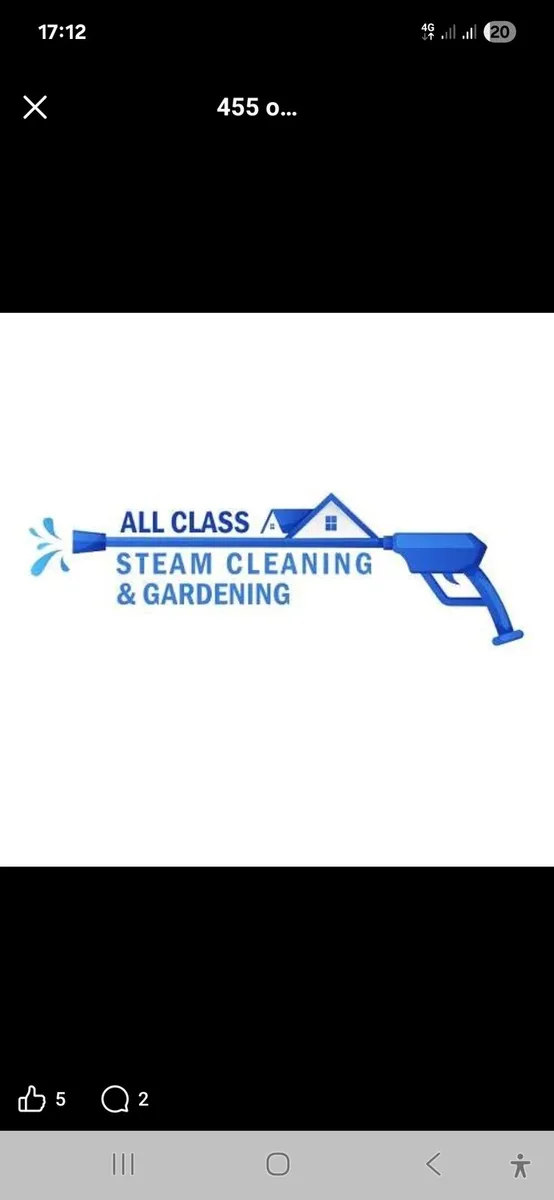 All class steam cleainig &gardning - Image 3
