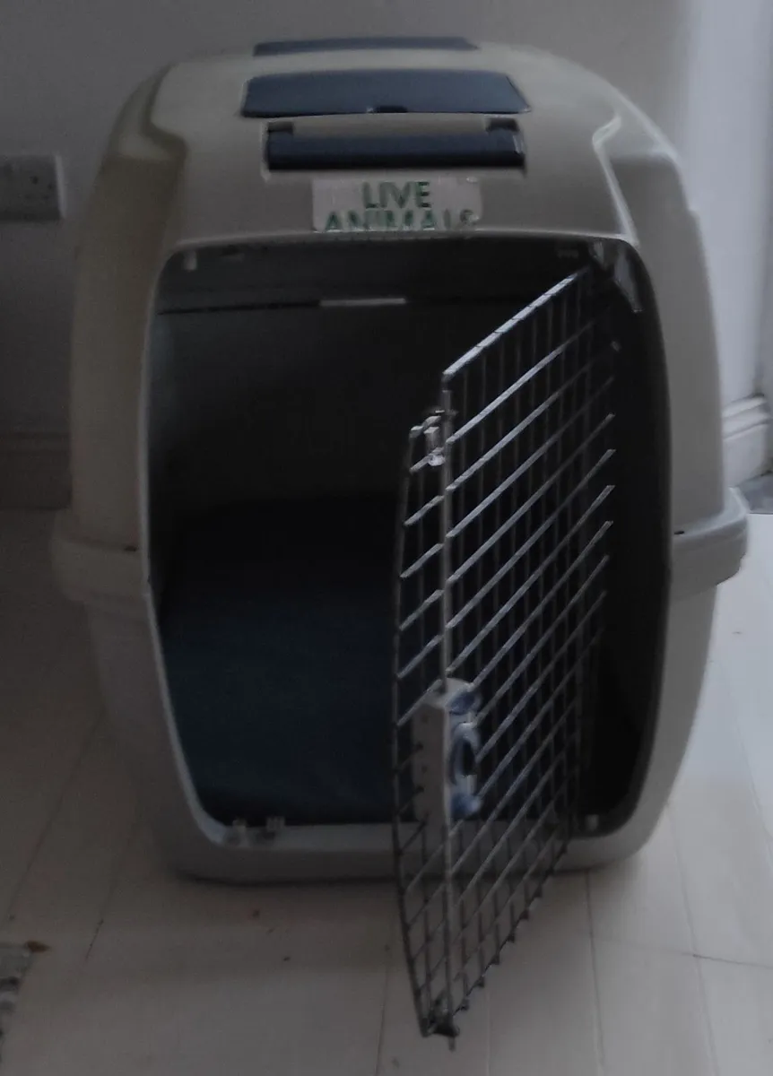 Dog Transport Box - Image 4