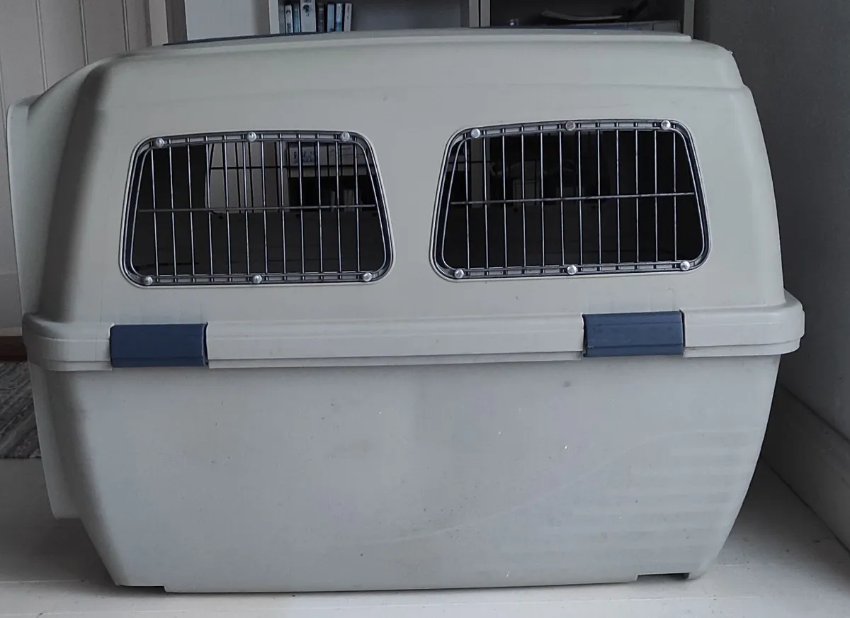 Dog Transport Box - Image 1