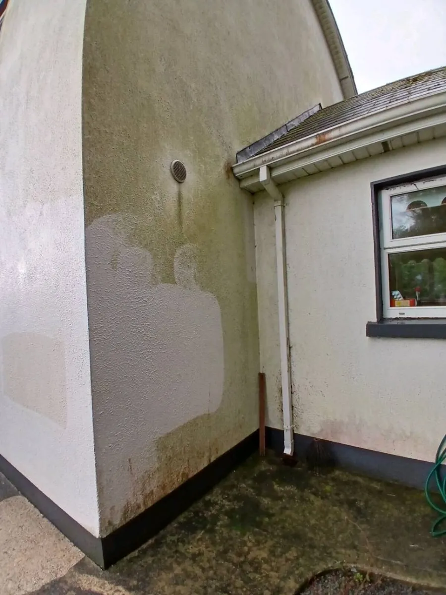 All class steam cleaning& gardening - Image 2