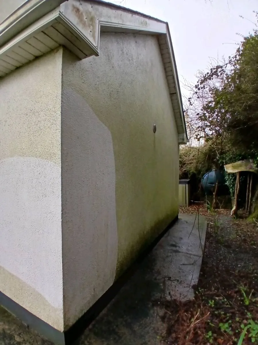 All class steam cleaning& gardening - Image 3