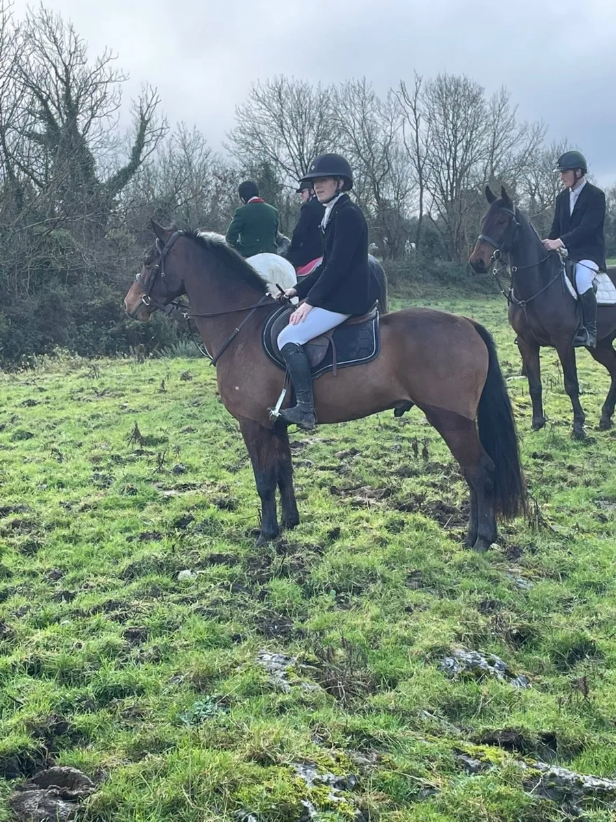 Corglass TJ - Image 1