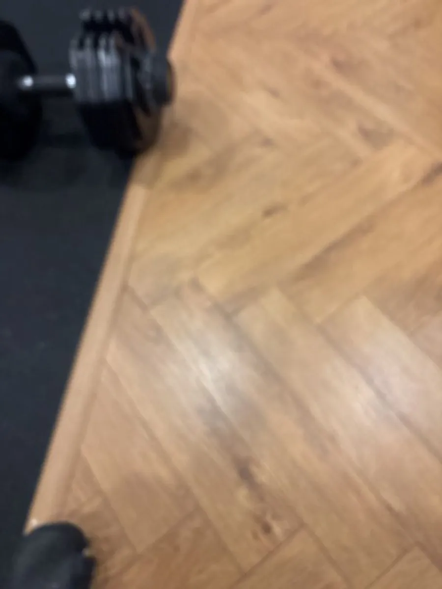 40 KG Adjustable Dumbbells with Stand - Image 1
